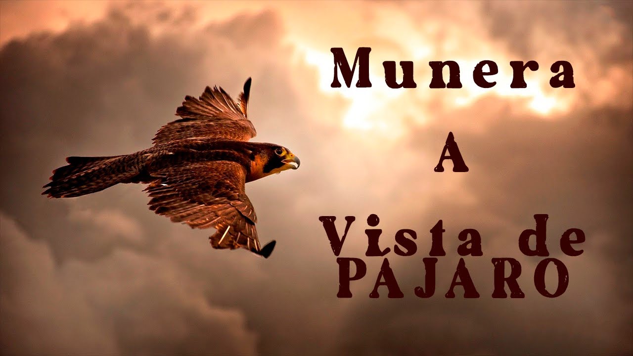 Munera a Vista de P&aacute;jaro | AD CREATIVE