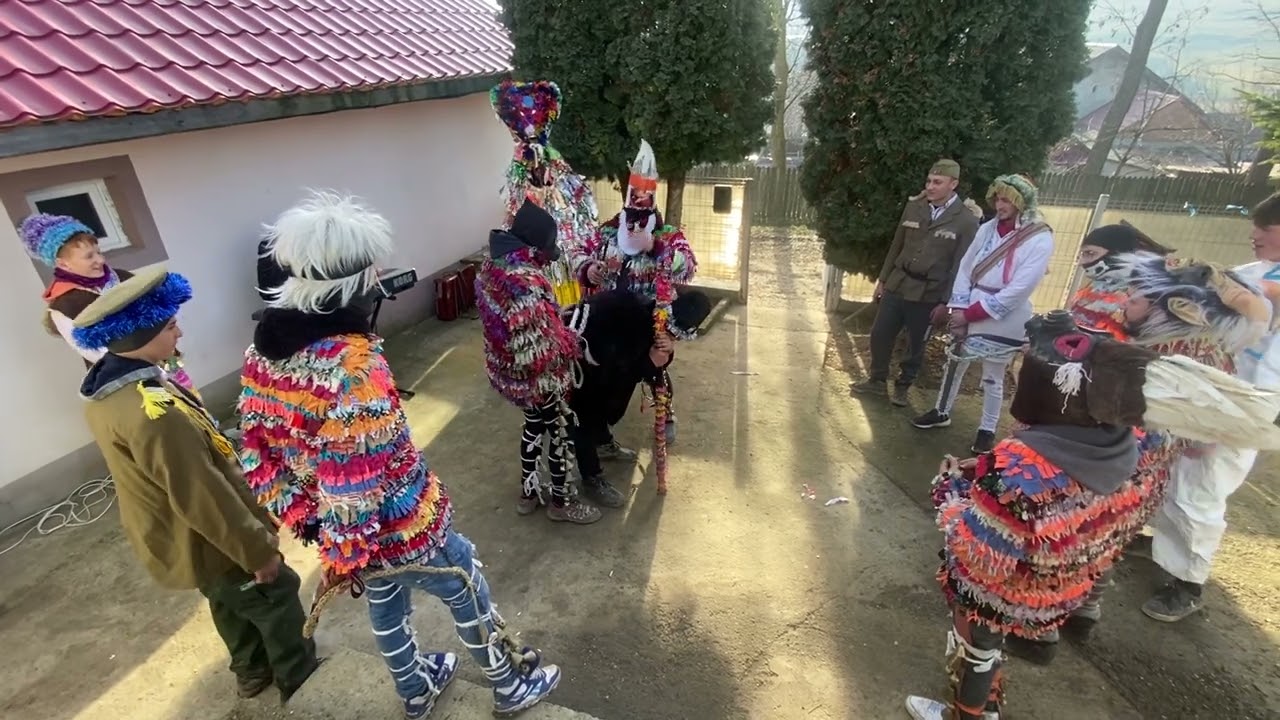 Capra mare Vânători comuna Popricani 2022-2023