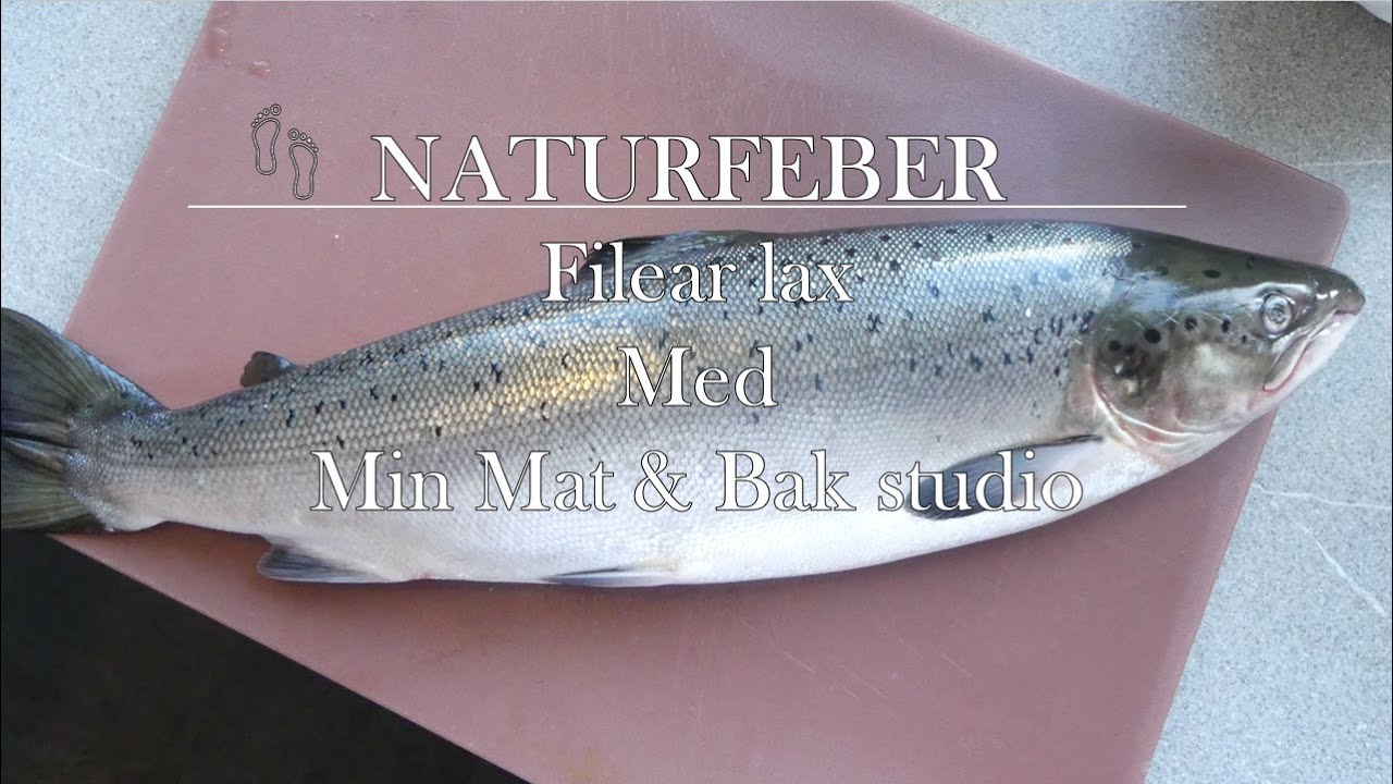 Filear lax med Min Mat & Bak Studio