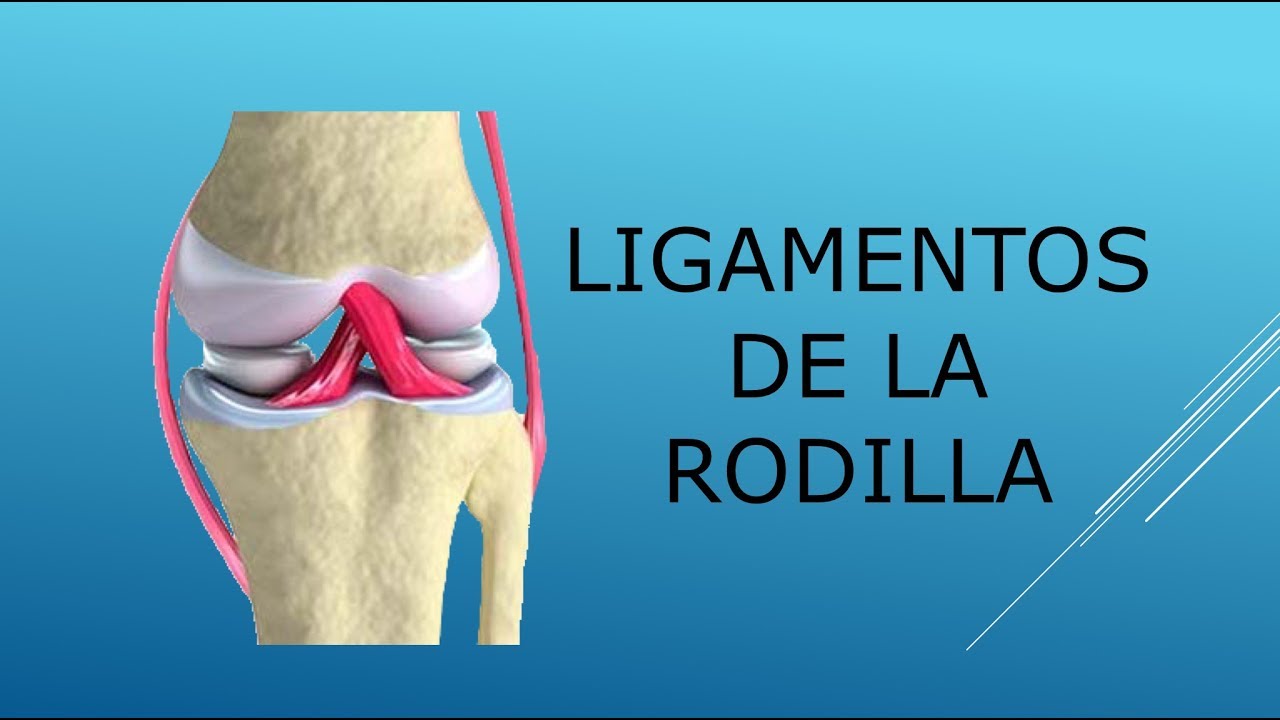 Ligamentos de la rodilla