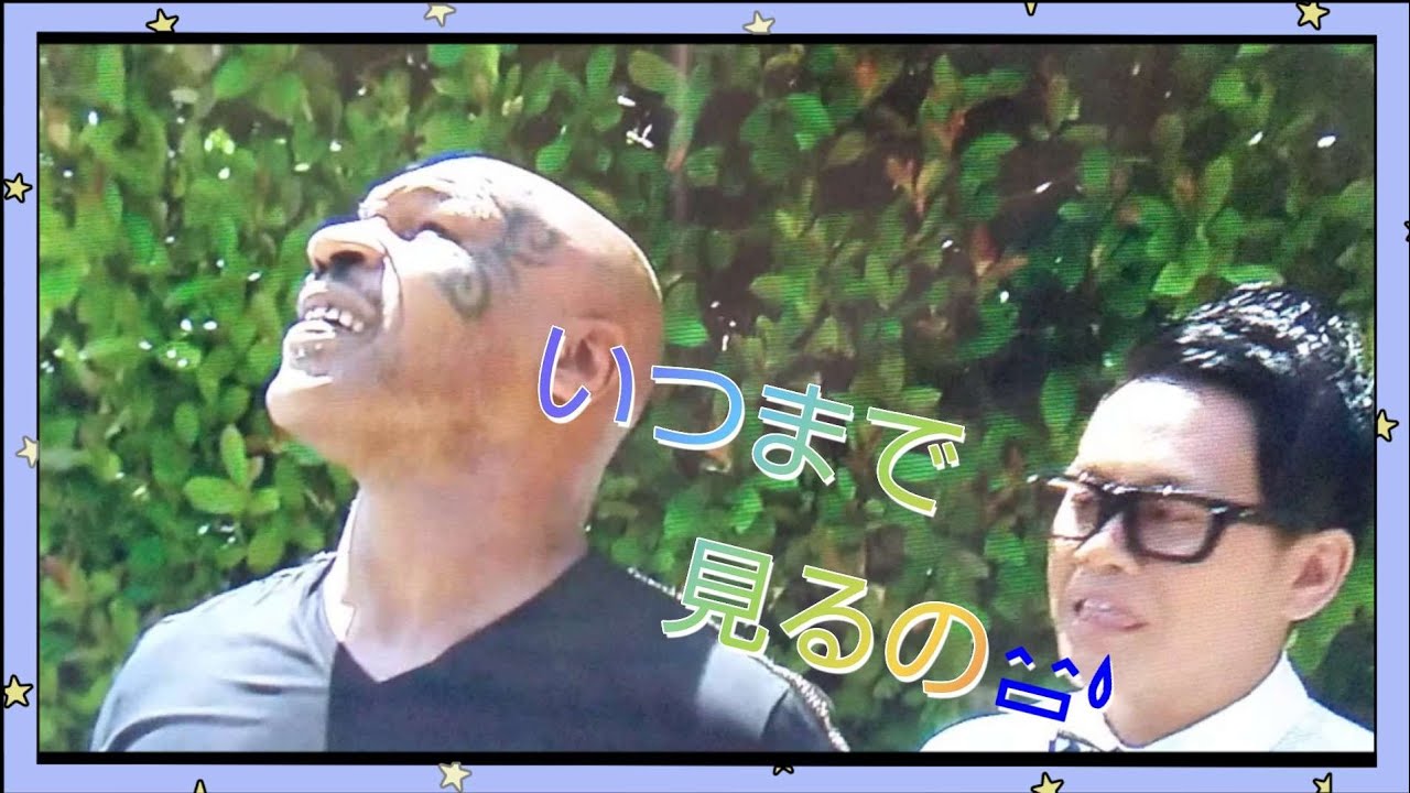 ハトを見るのをやめない、マイク・タイソン😅