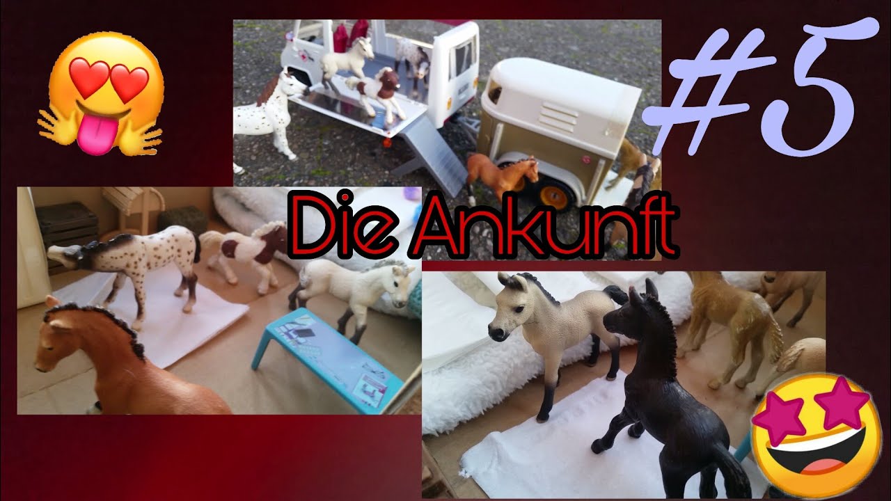 #5 Fohlenschule❤ Die Ankunft🐎