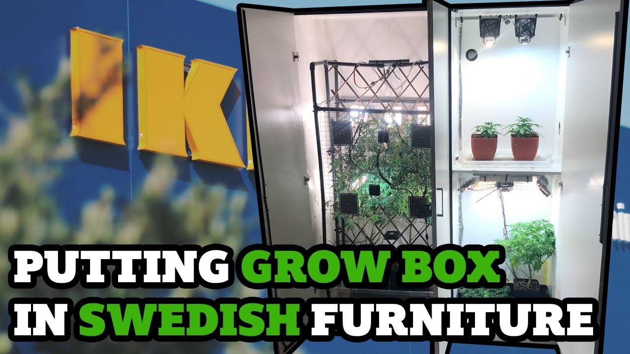Putting a grow box inside swedish furniture