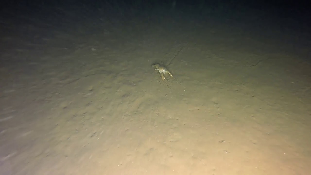 What's the bottom of Emerald Bay, Lake Tahoe look like?