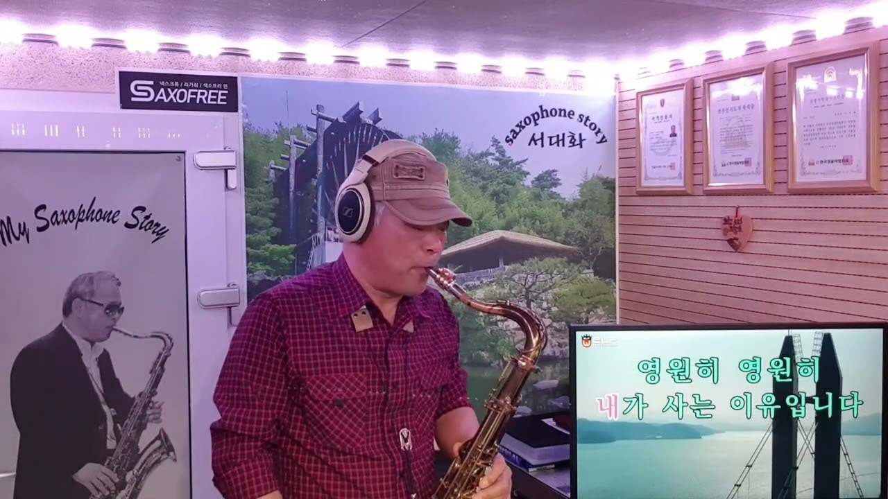 비비각시 (서정아) // Tenor saxophone 서대화