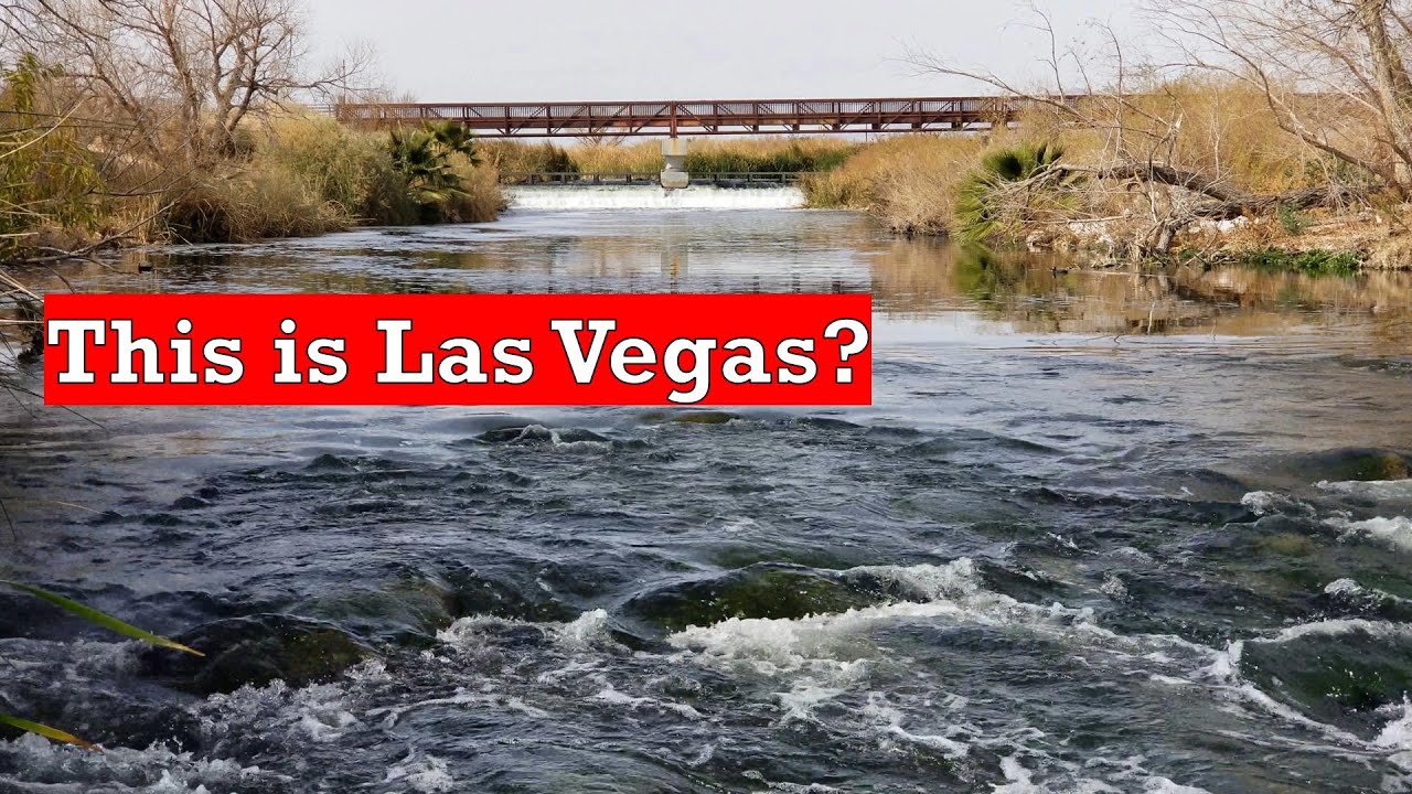 A Different side of LAS VEGAS: Clark County Wetlands Park and the Las Vegas Wash