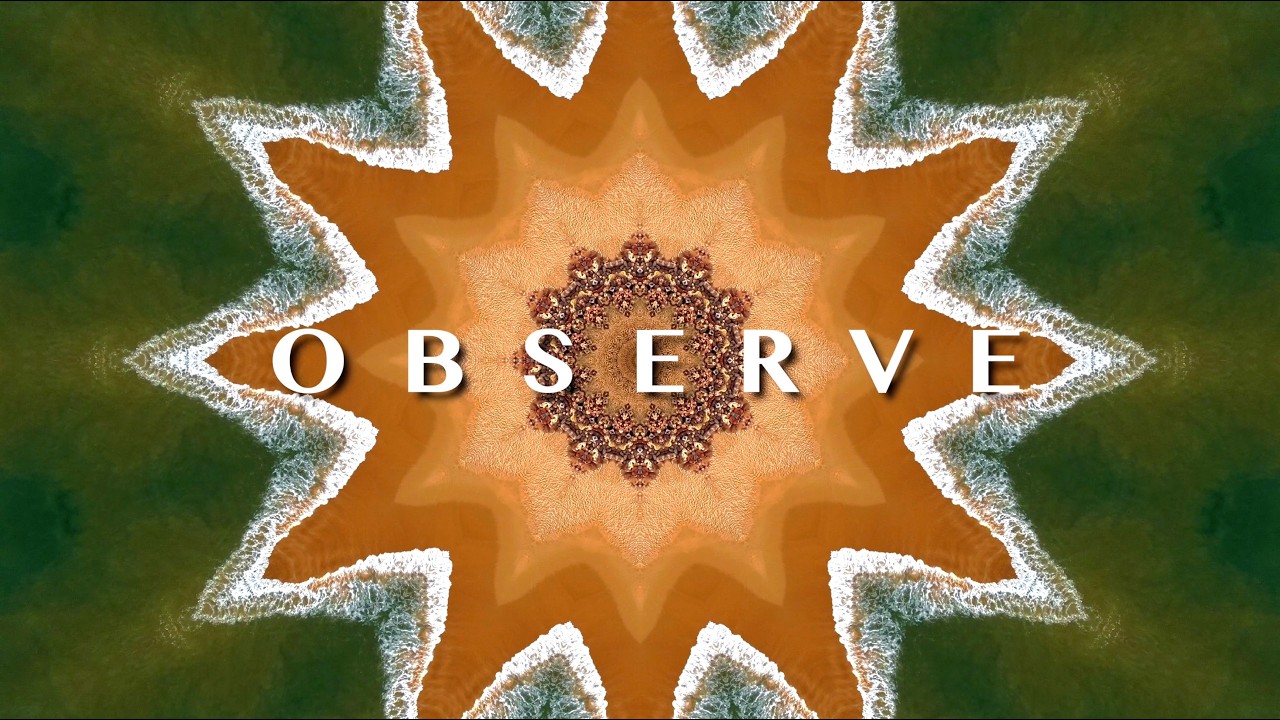 Full Spectrum Resonance | Natural Fractal Meditation for Deep Immersion | OBSERVE