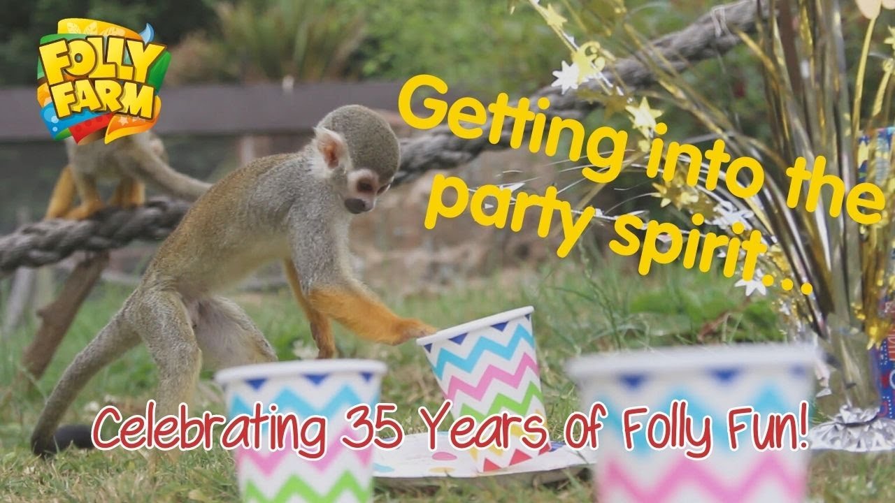 35 Years of Folly Fun