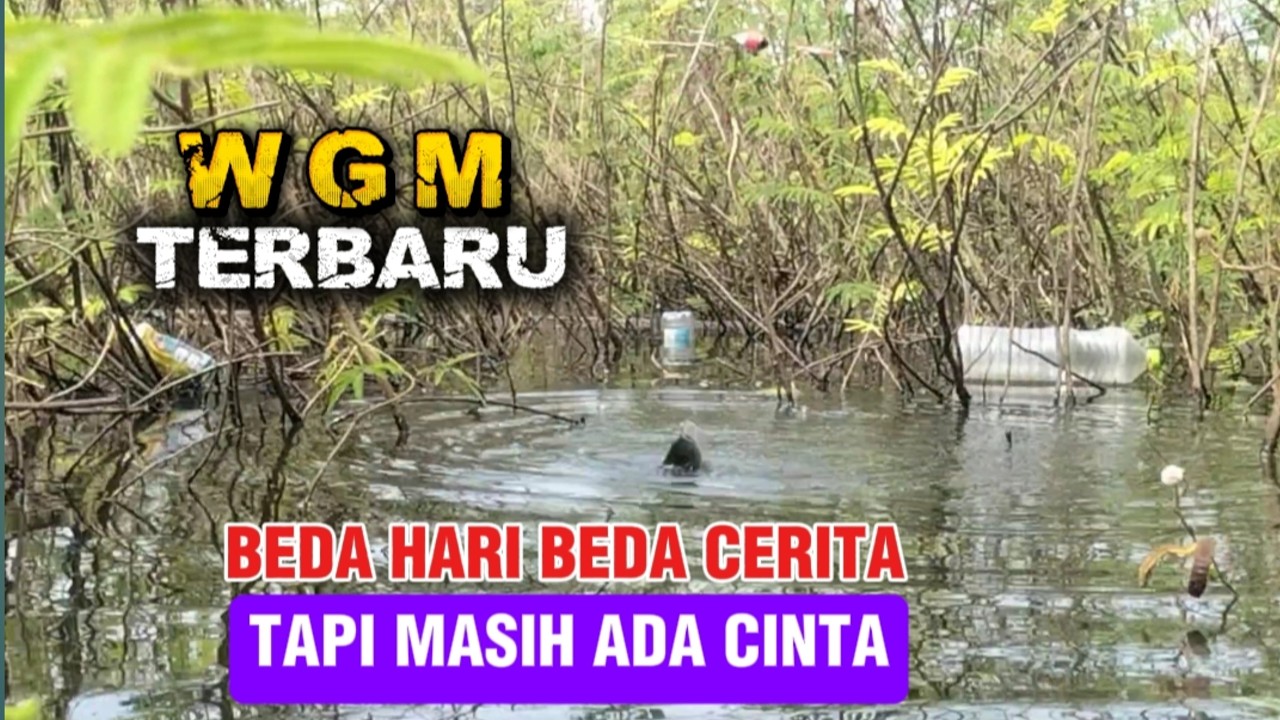 WGM Terbaru‼️ Tetap dapat ikan walau ikan lagi sulit di spot ini❗