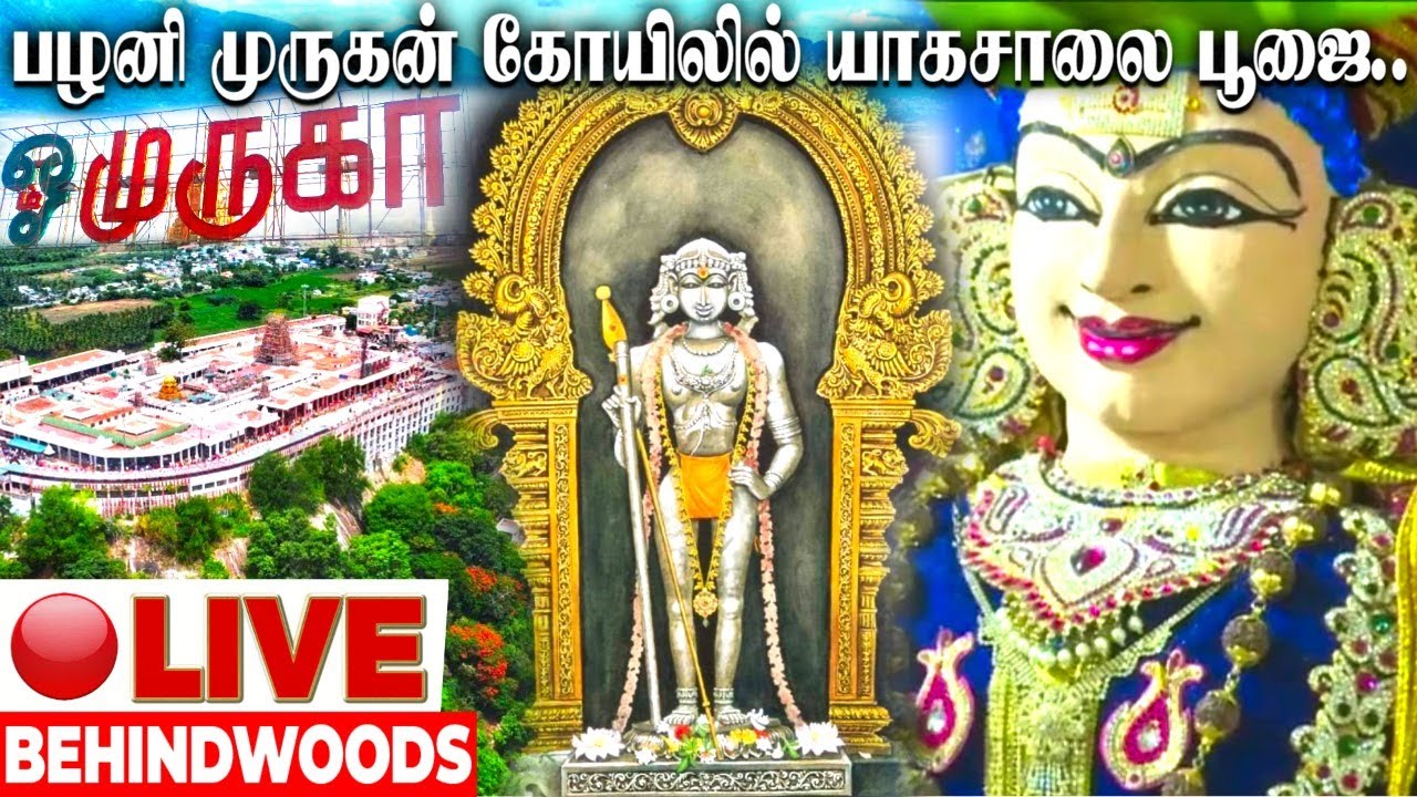 🔴LIVE: பிரம்மாண்டமாக மெய்சிலிர்க்க வைக்கும் யாகசாலை பூஜை | palani murugan temple