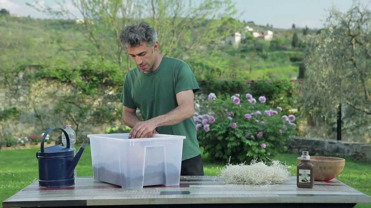 Ampolle di Sub-irrigazione - 