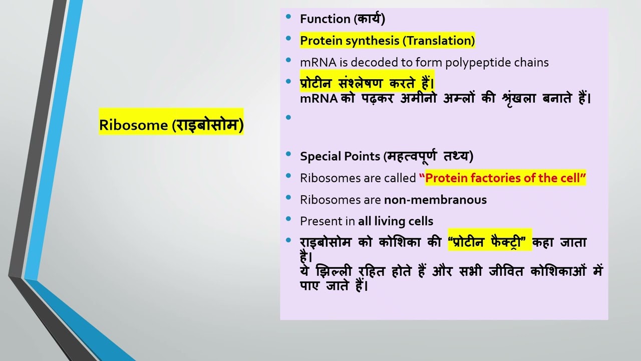#cell #trending #ssc #NDA #RRBGroup D