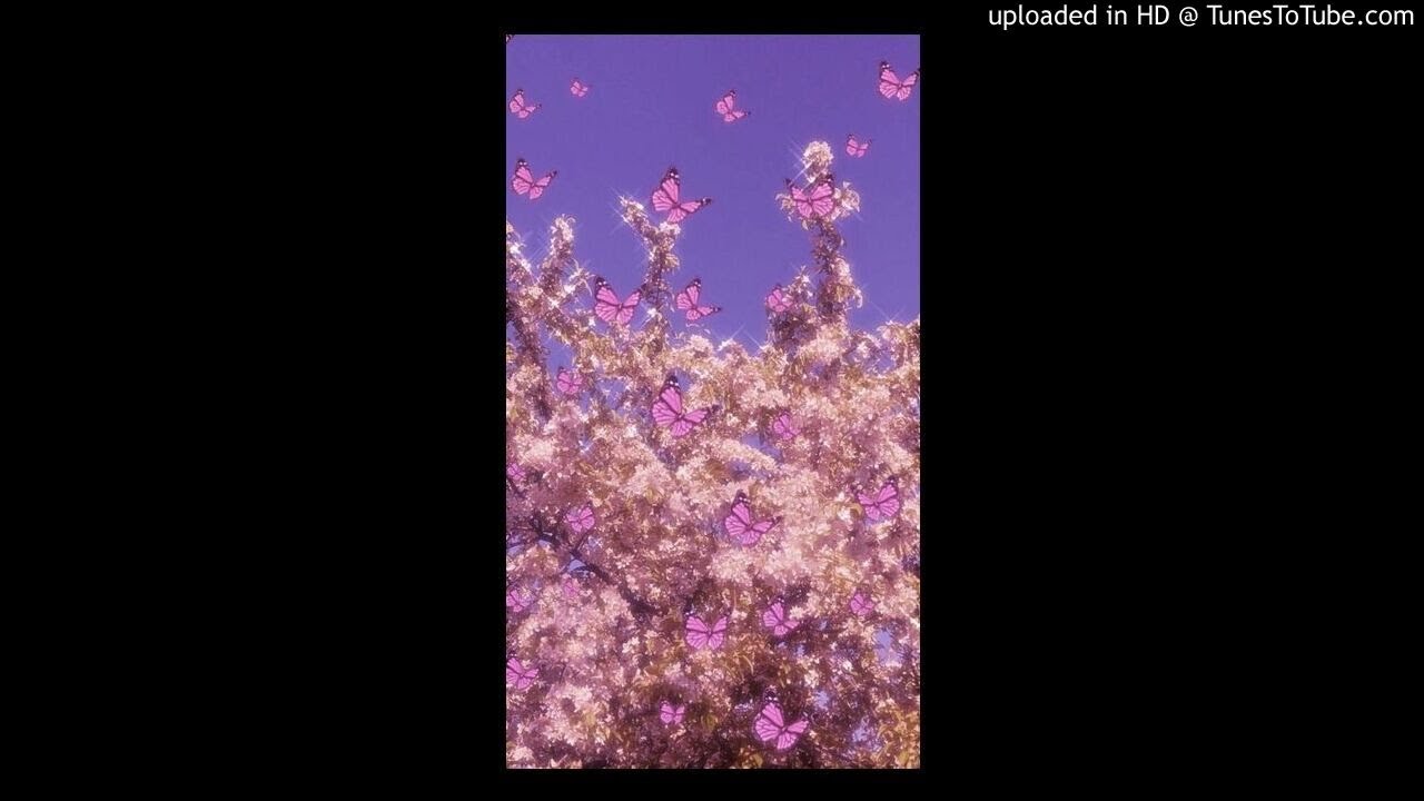*free* bedroom pop x clairo x indie rock type beat 