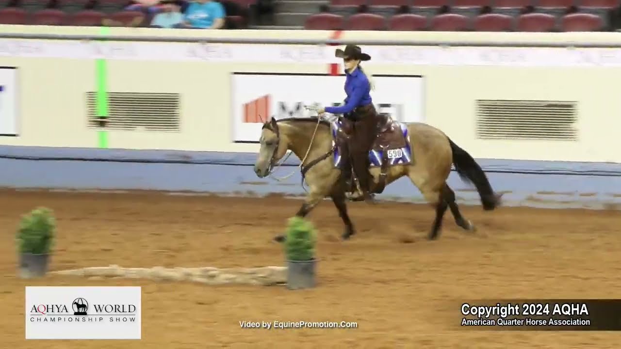 2024 AQHYA world champion ranch trail