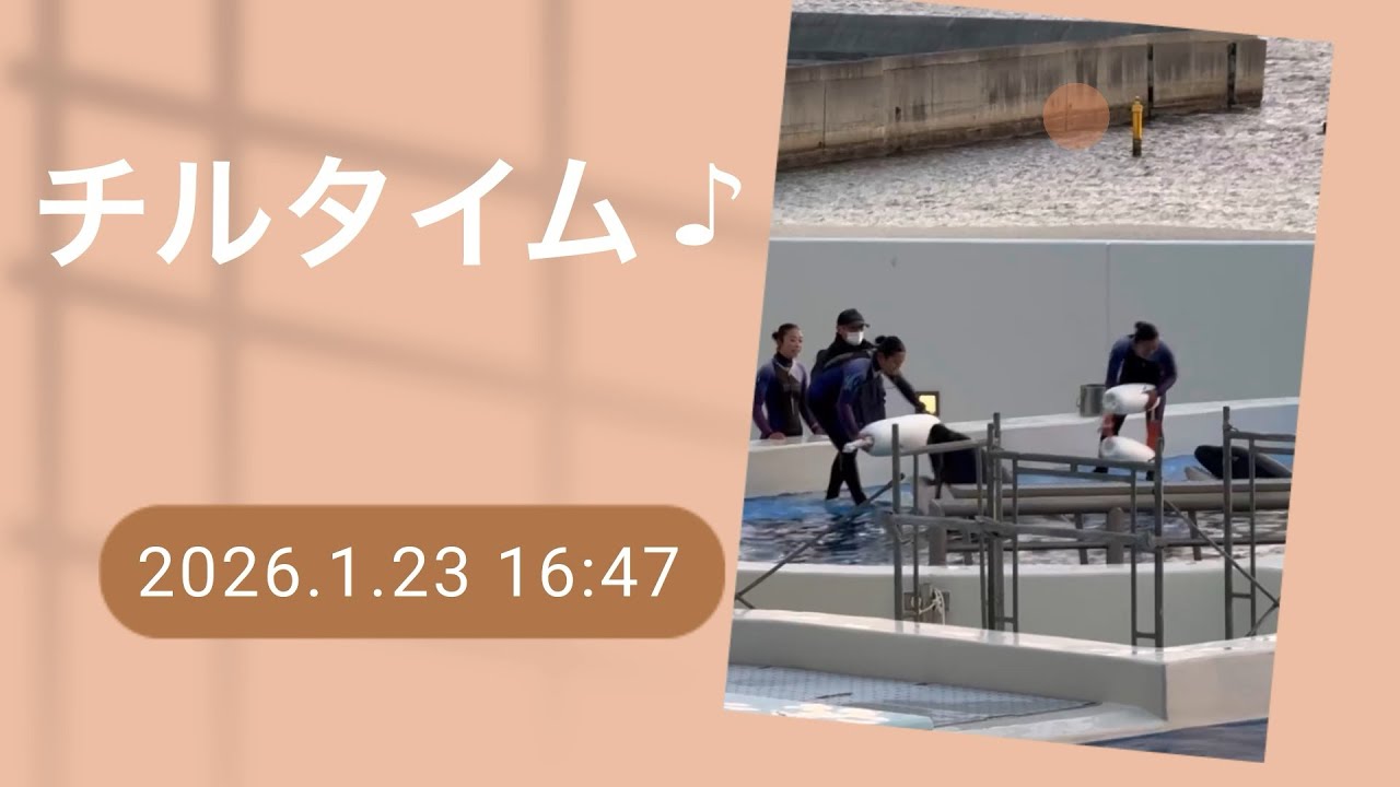 チルタイム♪ 2026.1.23 16:47