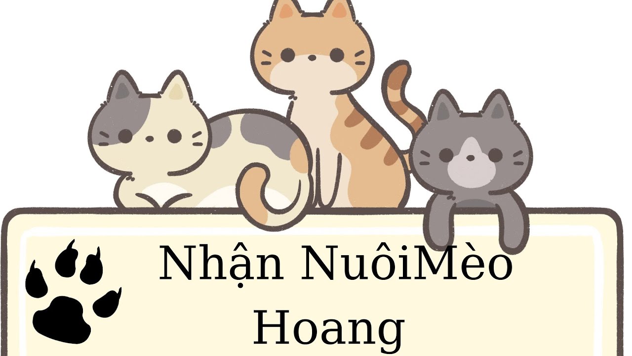 Tổng Hợp Nhận Nuôi Mèo Hoang P1-P5