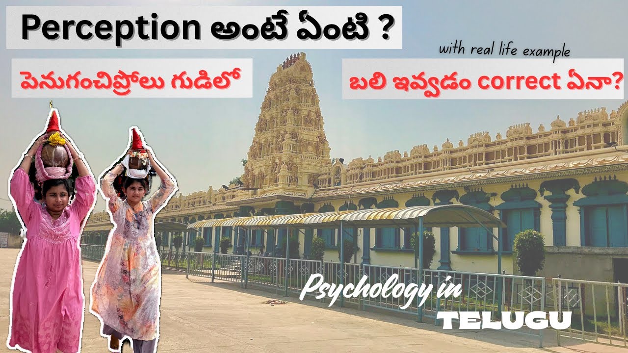 What is perception? | Let’s understand with a real life example..