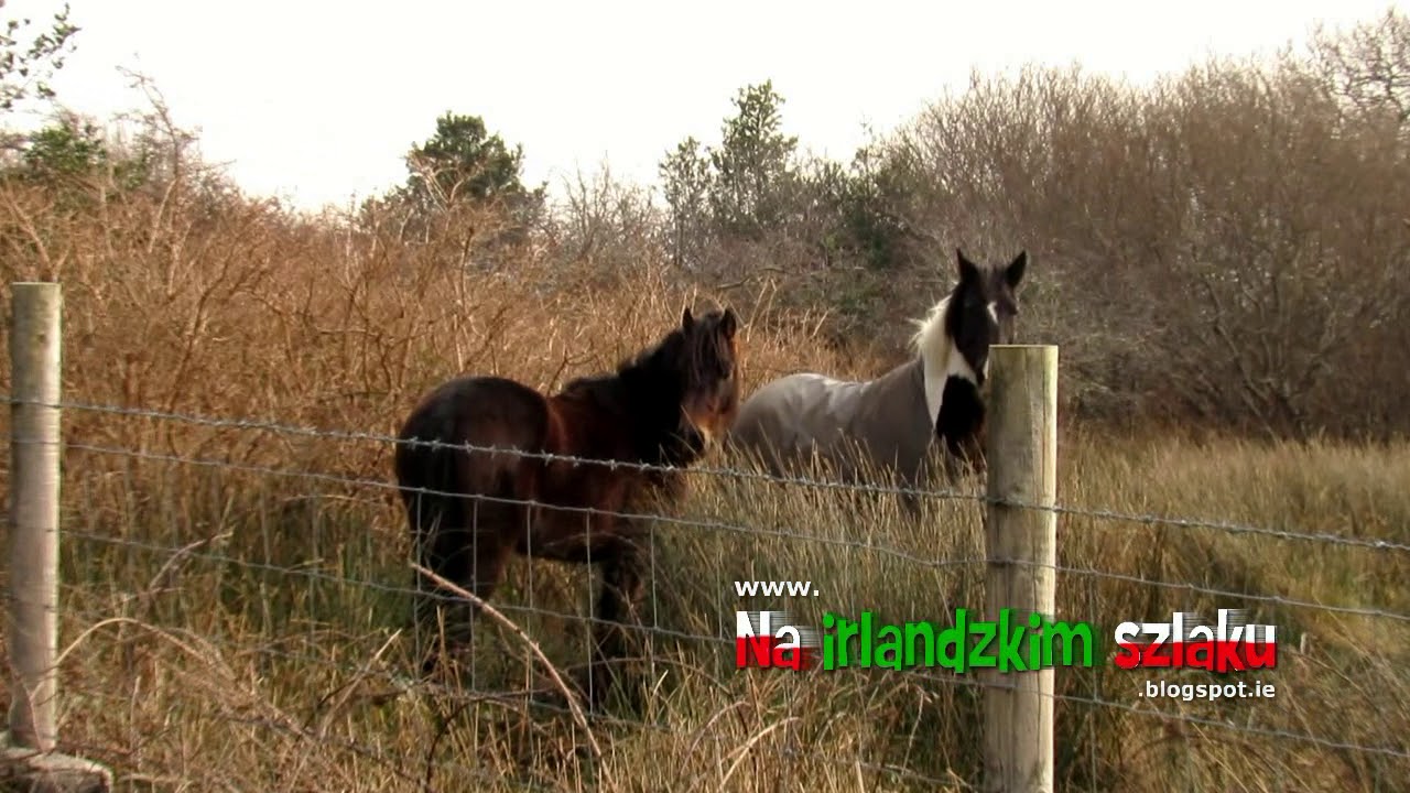 Seanbhothar, Co. Galway