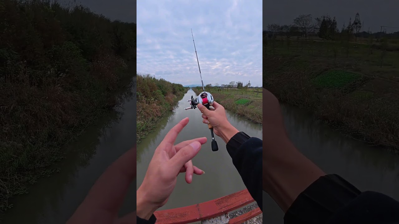 Cần câu lure máy ngang UL - kỹ thuật câu lure 