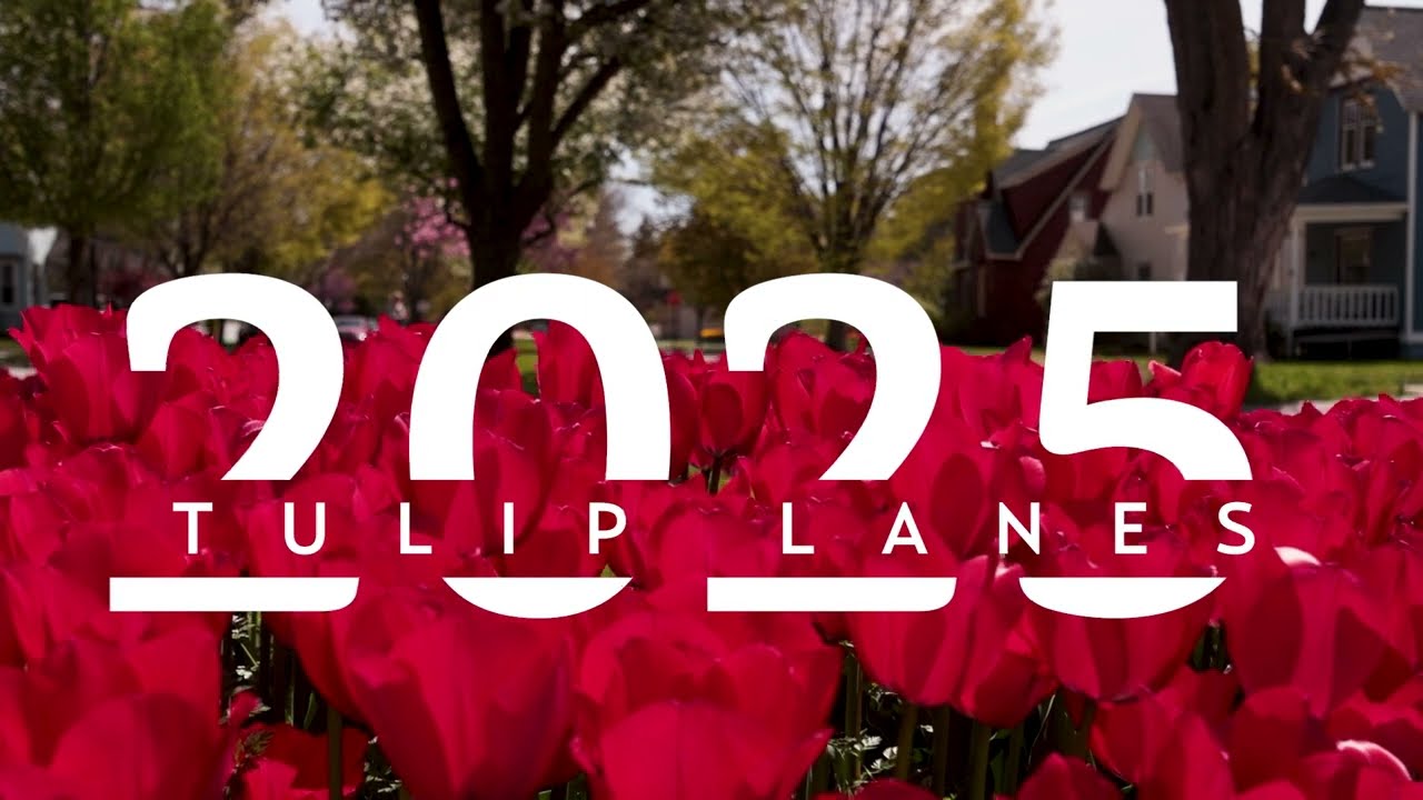 2025 Tulip Lanes in Holland