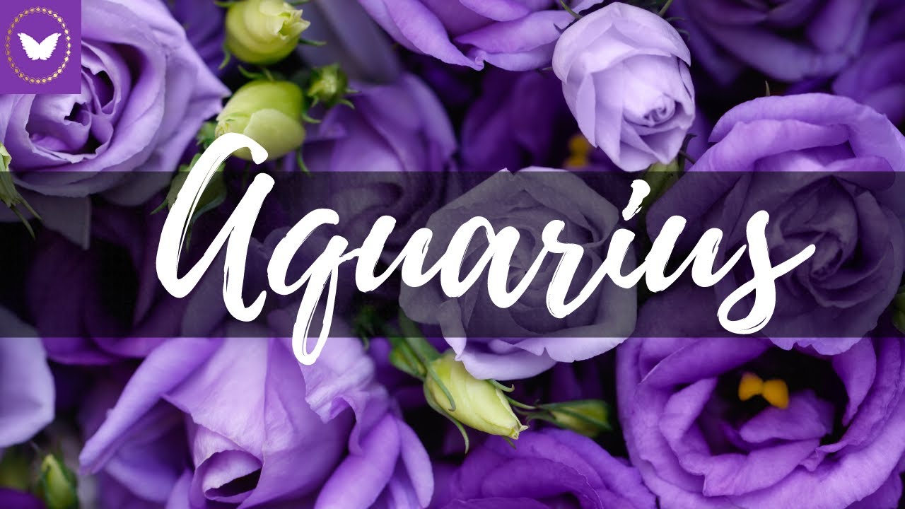 Aquarius the universe is bringing your person to you! 💖 Tarot Love Reading