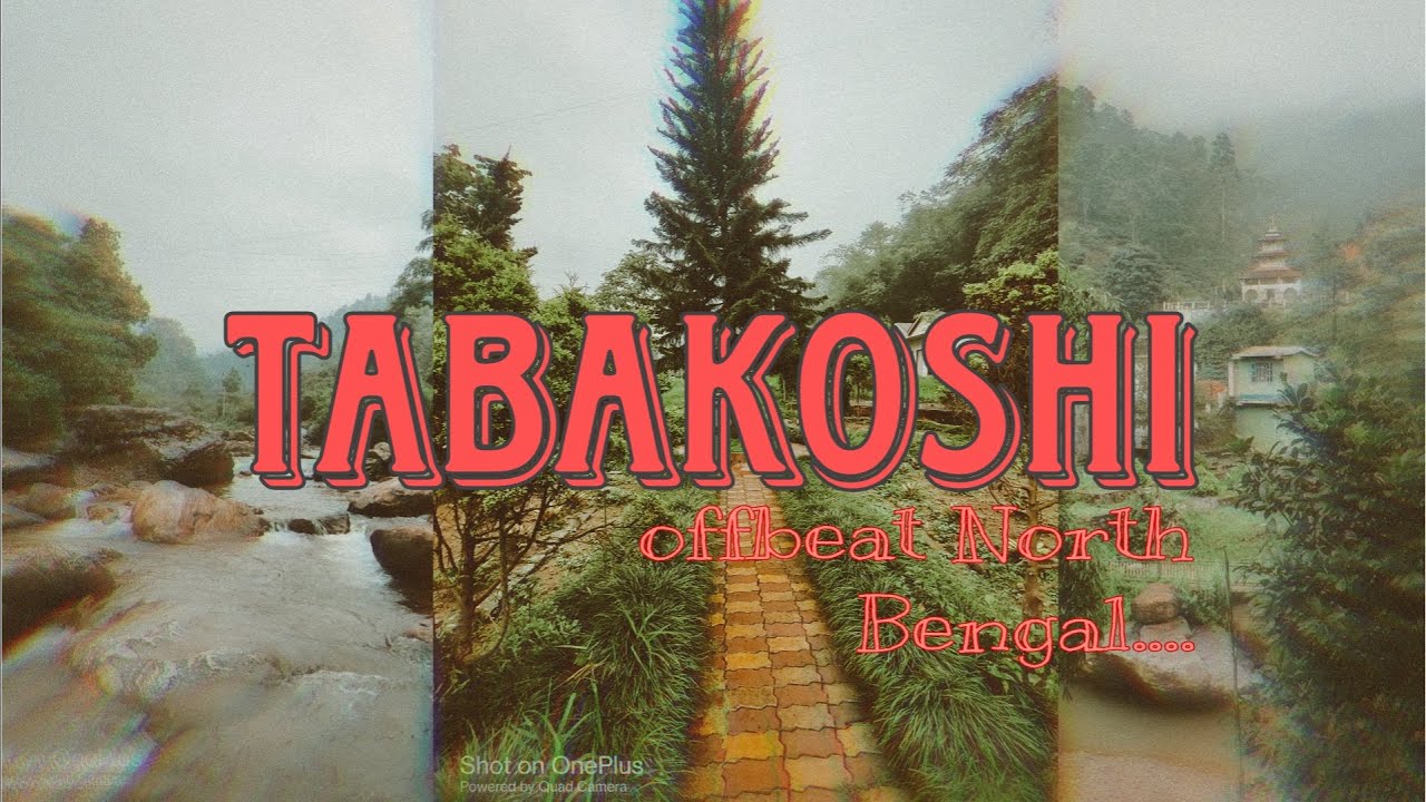 || Siliguri to Tabakoshi 1D/1N stay || Offbeat places of North Bengal || Offbeat Darjeeling ||