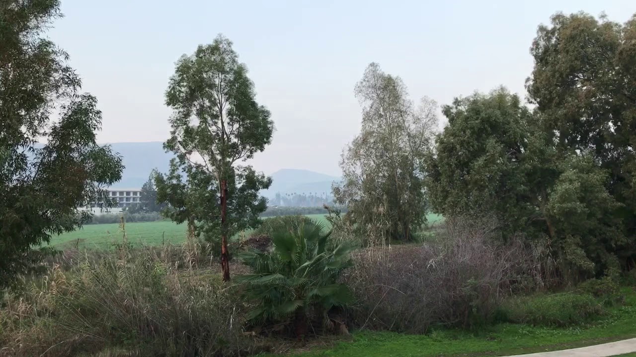 Morning in the Lower Galilee, Israel