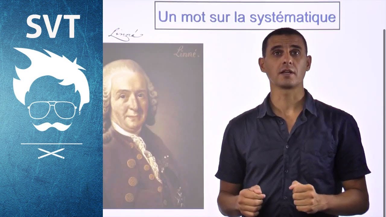SVT Terminale : L'origine de l'homme