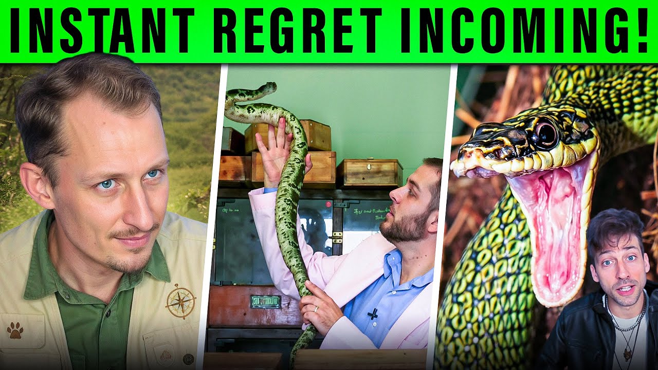 Zoologist Reacts To The Most DANGEROUS Venomous Snake Tiktoks!