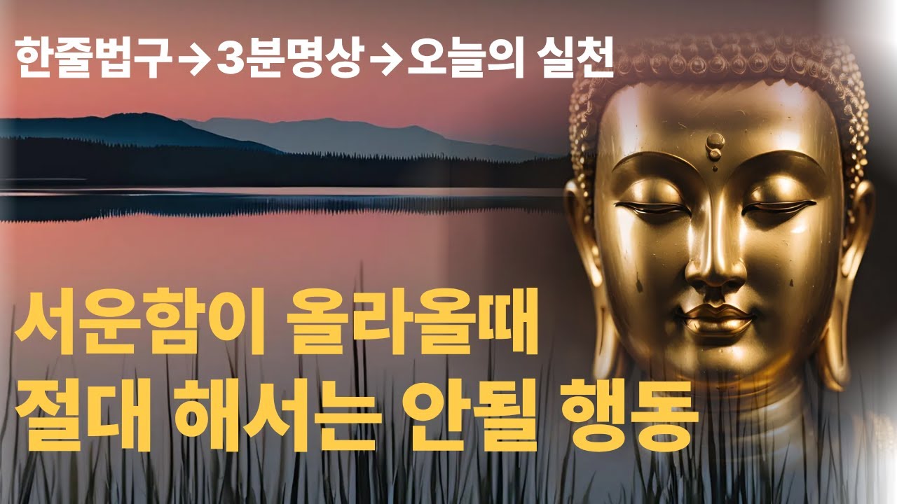부처님의 위로와 지혜 | 서운함이 올라올 때 절대 해서는 안 될 행동, 당장 해야 할 한 가지 | 마음 고요 ASMR | 명언 | 자기수행 | 불교명상