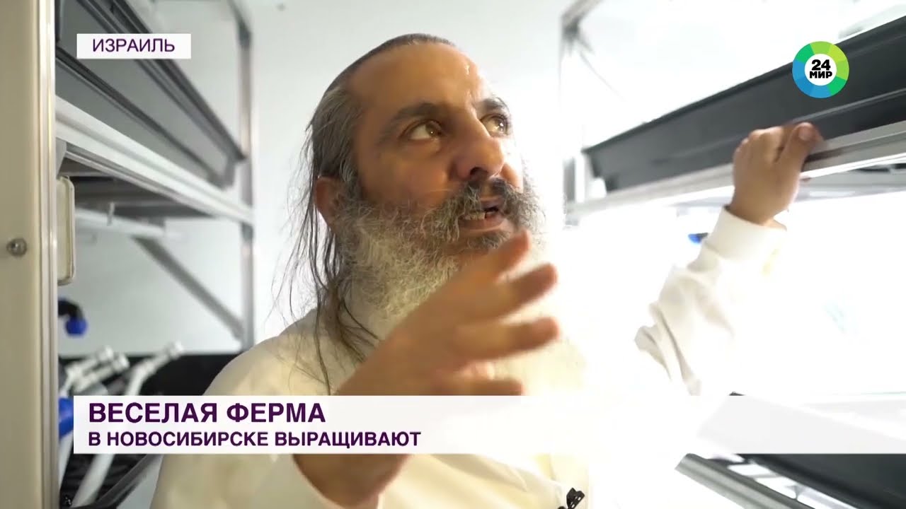 Гидропонные технологии OverGrower в Израиле и томатная лаборатория в Новосибирске