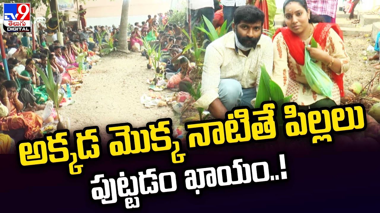 అక్కడ మొక్క నాటితే పిల్లలు పుట్టడం ఖాయం |Sivadevuni&nbsp; Chikkala Temple&nbsp;In West Godavari District&nbsp;- TV9