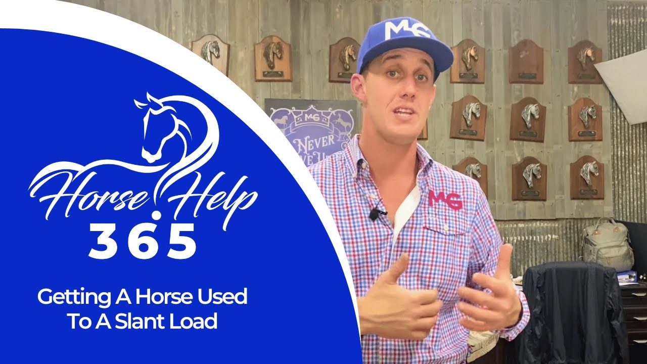 Getting A Horse Used To A Slant Load | Horse Help - Michael Gascon