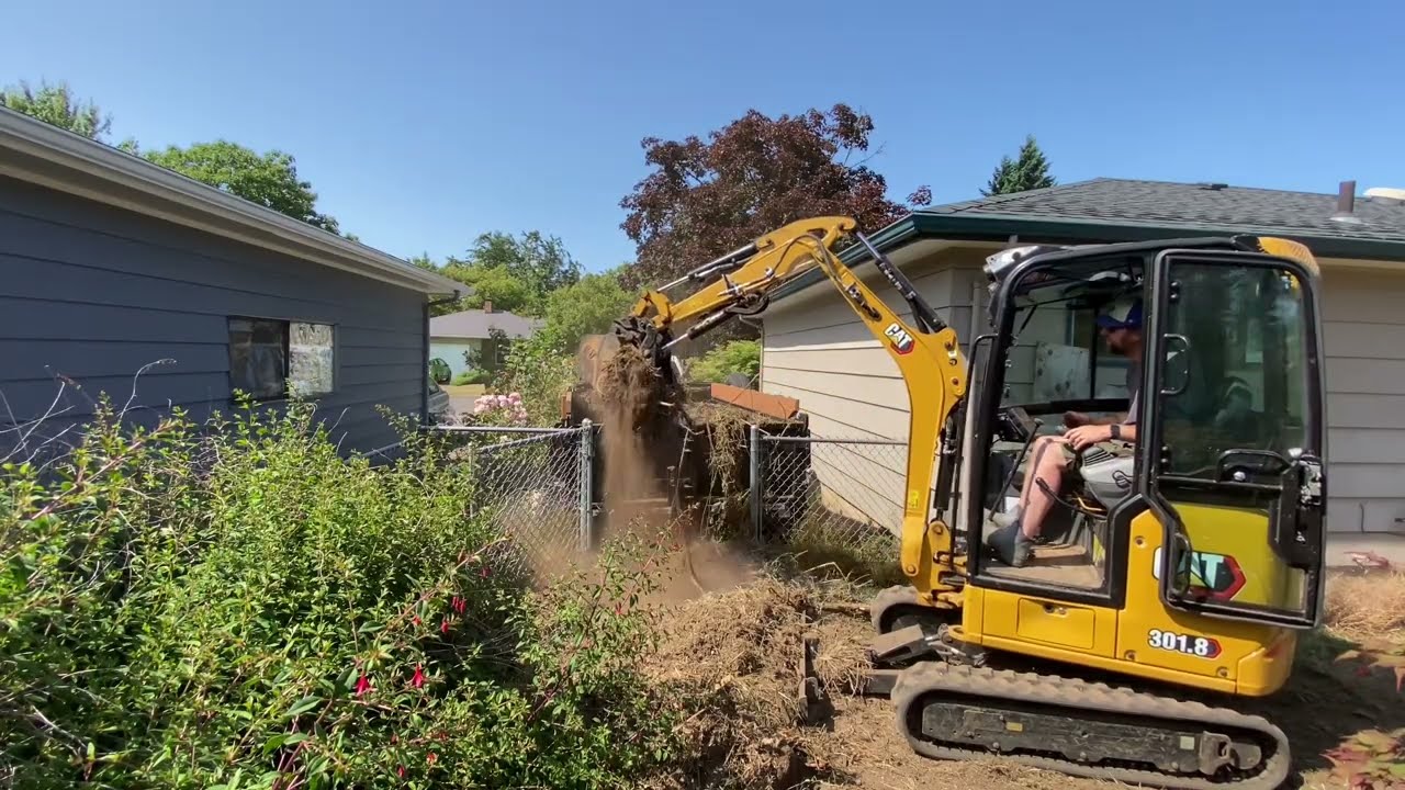Cat 301.8 operation midnight hammer destroyed backyard with time lapse. Sinko Tree
