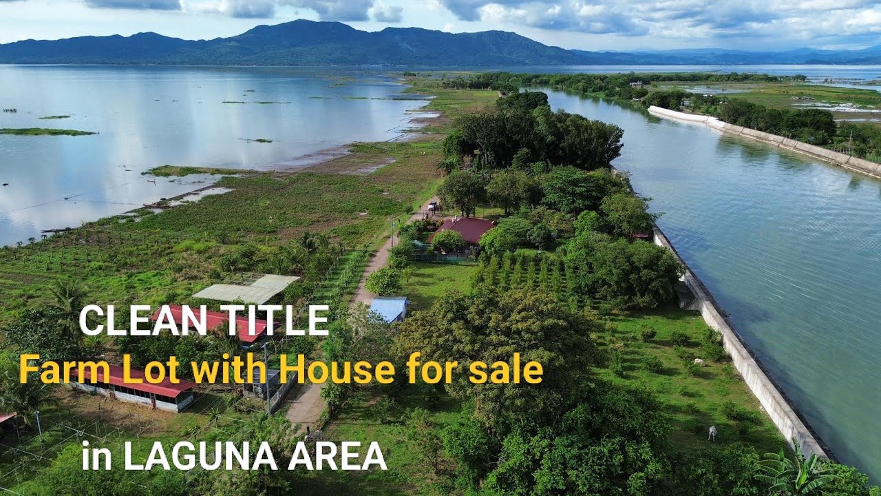 #Vlog399 CLEAN TITLE FARM LOT with HOUSE for sale | ideal for Campsite & Resort