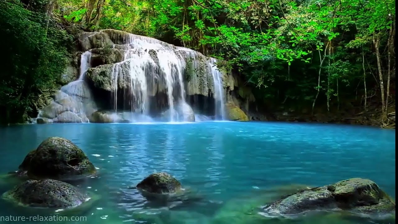 1h de bruits de la nature  ( rivi&egrave;re_oiseaux..) 1080p