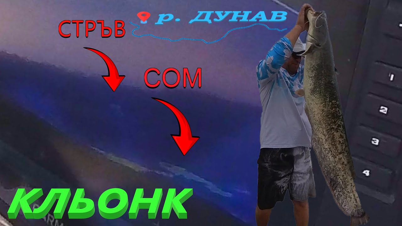 ПОРЕДНИЯТ СОМ на КЛЬОНК ! СЕЗОН 25 Река ДУНАВ ! CATFISHING : WITH CLONK ! Danube River!