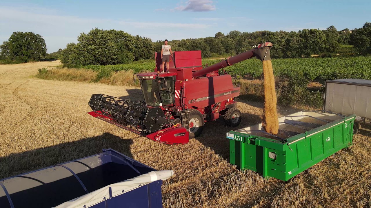 1 ans avec l'agriculteur gardois!!!!