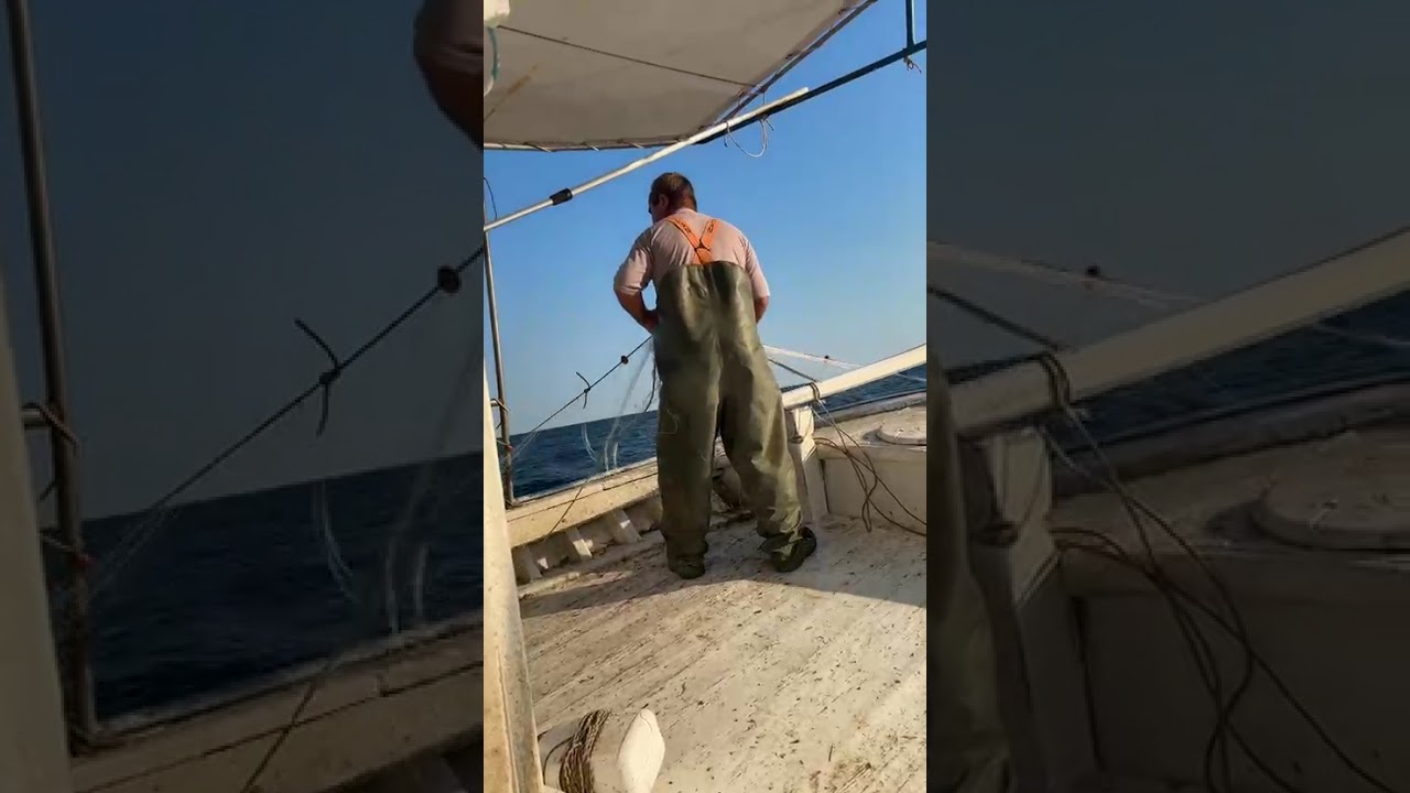 Ο Σύζυγος της Πιπίνας 11 - Η αληθινή ιστορία μιας θάλασσας Αβδήρων και δύο ναυτικών