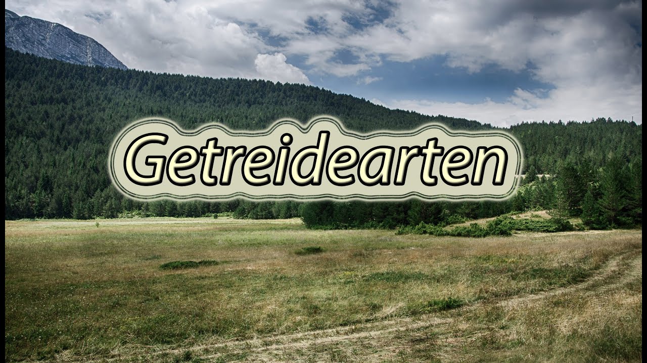 Übersicht Getreidearten, Unterschied Couscous Bulgur Reis Hafer Mais Gerste und andere Getreide