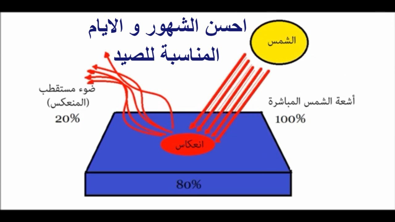 احسن الشهور و الايام المناسبة للصيد و أفضل الساعات التي ينشط فيها السمك