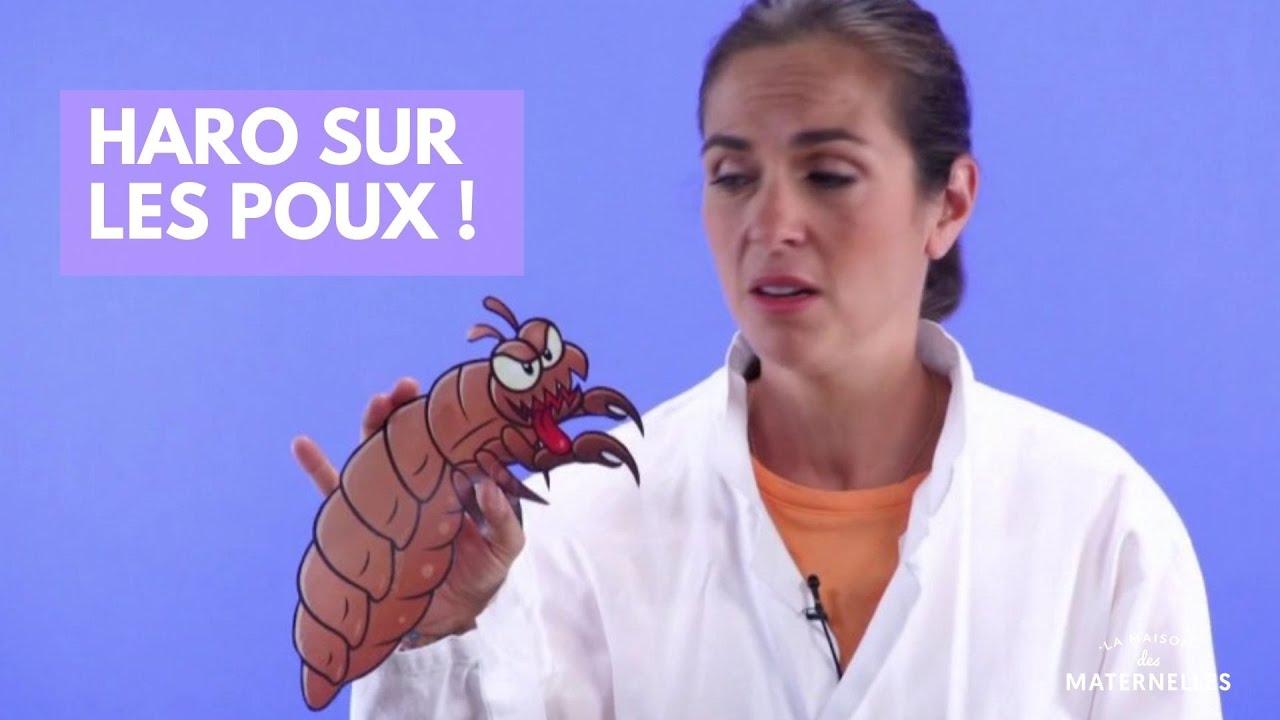 Haro sur les poux ! - La Maison des maternelles #LMDM