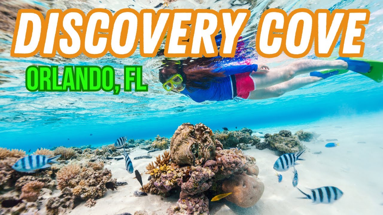 Explore Discovery Cove Orlando – Unforgettable Family Fun in Paradise!