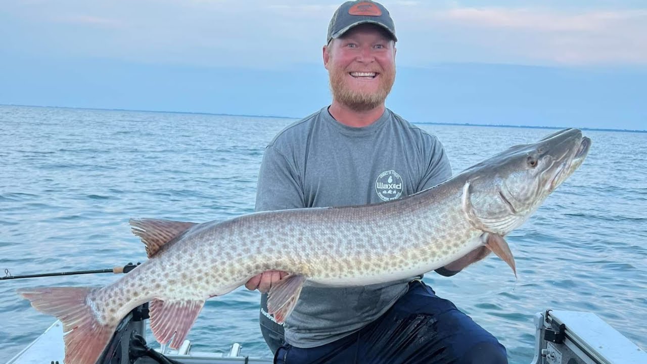 Musky Fishing Lake St. Clair: Matt's First 50