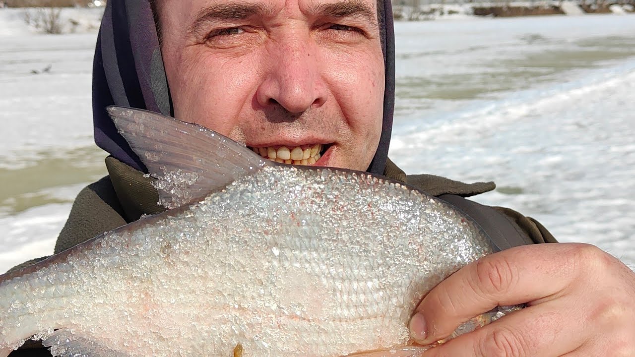 Ждём леща 17.03.26