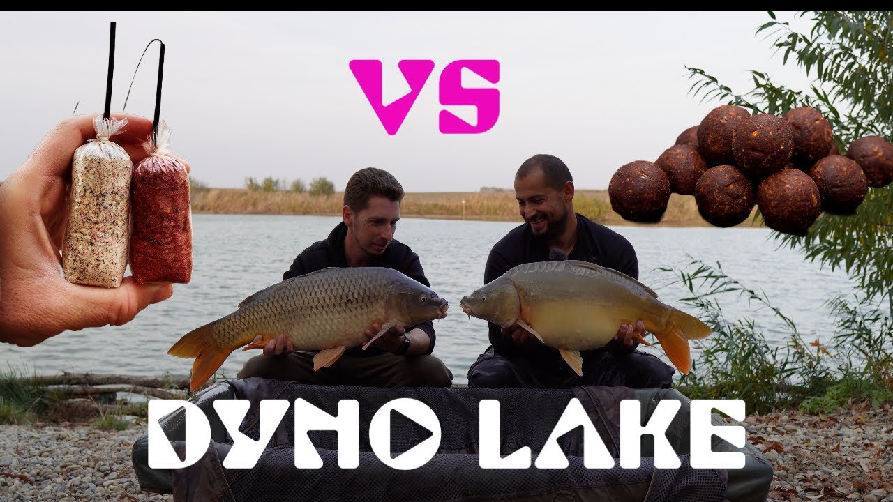 Boilies sau punga solubilă, ce prefera crapul iarna? 24h pe dyno lake