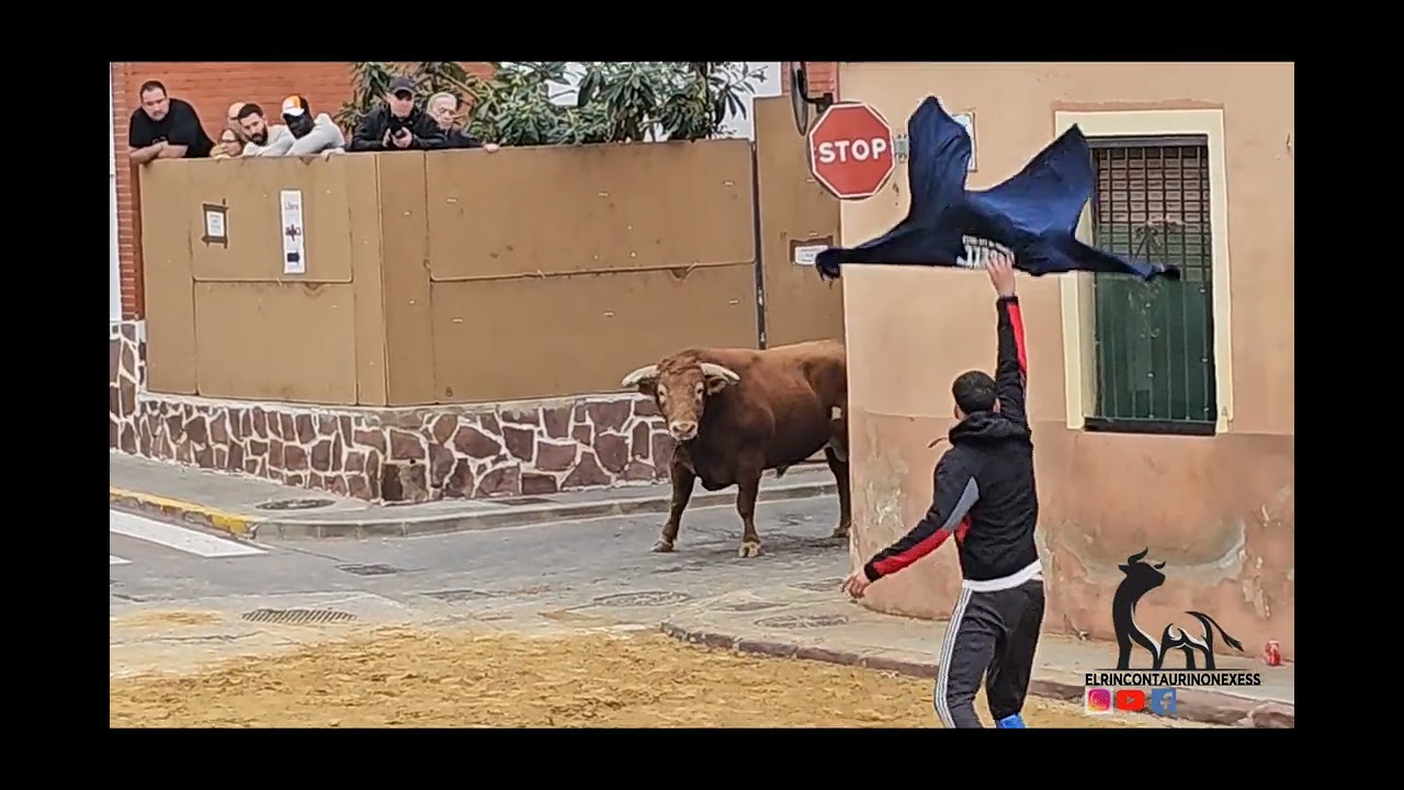 salida y detalles al toro cerril de Benifairó de les Valls 22 de febrero de 2025