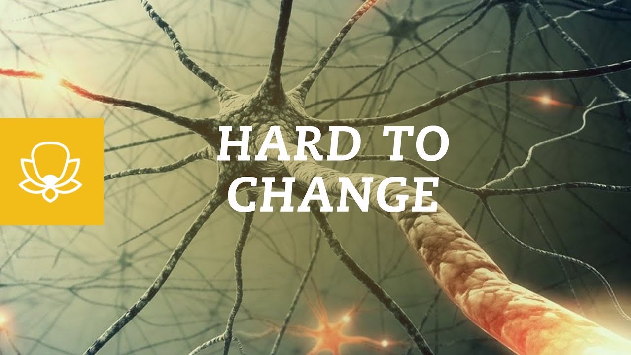 Why Changing a Habit is Hard &  How To Start a New Habit