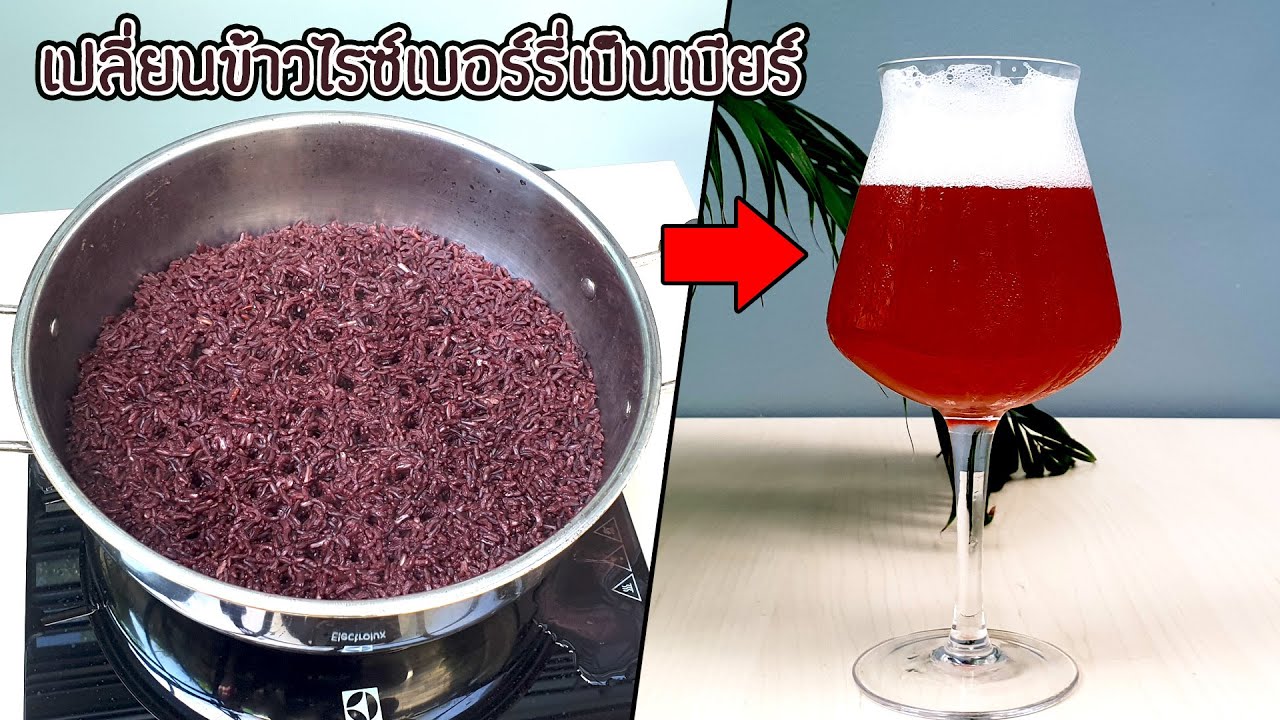 เปลี่ยนข้าวไรซ์เบอร์รี่เป็นเบียร์