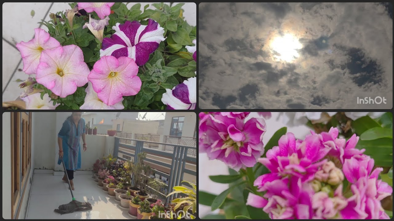 Baarish se hua terrace garden ka bura haal Dobara karni padi cleaning 